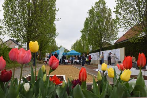 Realisatie Leefbuurt Dilbeek