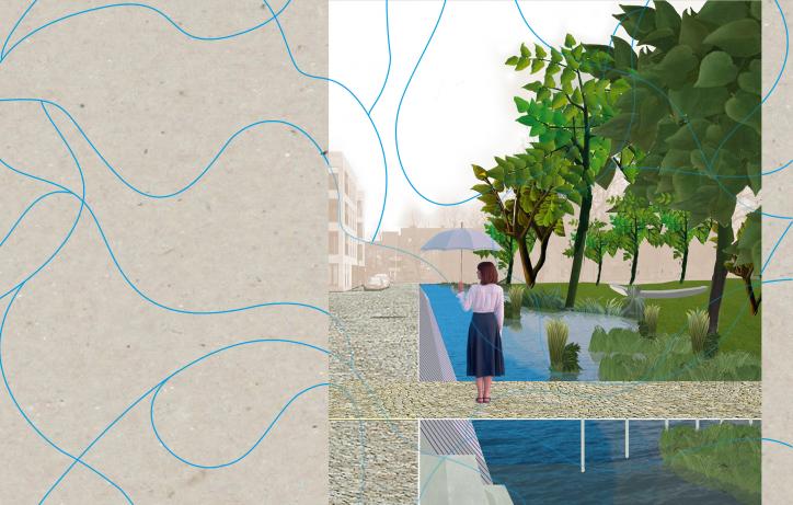 SmallTalk 39: Een nieuwe kijk op een ecologische stedelijke waterloop 