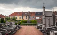 Beeld 7, klik om te vergroten