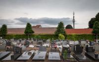 Beeld 11, klik om te vergroten