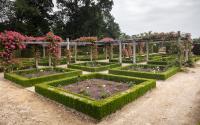 Beeld 5, klik om te vergroten