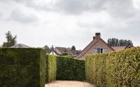 Beeld 7, klik om te vergroten