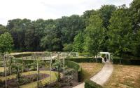 Beeld 20, klik om te vergroten