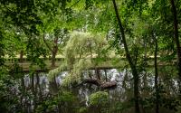 Beeld 25, klik om te vergroten