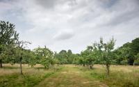 Beeld 29, klik om te vergroten
