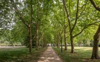 Beeld 30, klik om te vergroten