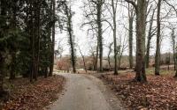 Beeld 6, klik om te vergroten