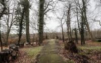 Beeld 7, klik om te vergroten