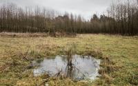 Beeld 11, klik om te vergroten