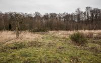 Beeld 13, klik om te vergroten