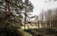Beeld 15, klik om te vergroten