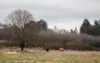 Beeld 16, klik om te vergroten