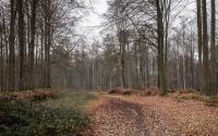 Beeld 19, klik om te vergroten