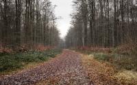 Beeld 20, klik om te vergroten