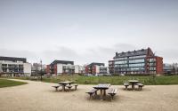 Beeld 9, klik om te vergroten