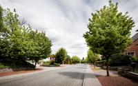 Beeld 10, klik om te vergroten