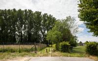 Beeld 18, klik om te vergroten