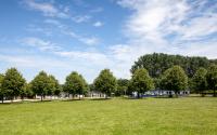 Beeld 26, klik om te vergroten