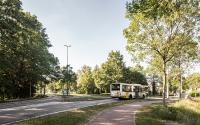 Beeld 14, klik om te vergroten
