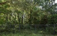 Beeld 15, klik om te vergroten