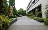 Beeld 9, klik om te vergroten