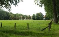 Beeld 5, klik om te vergroten