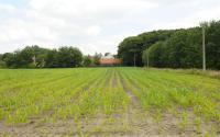 Beeld 7, klik om te vergroten