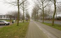 Beeld 11, klik om te vergroten