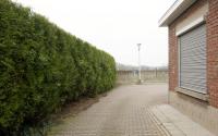 Beeld 7, klik om te vergroten