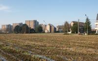 Beeld 9, klik om te vergroten