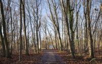 Beeld 7, klik om te vergroten