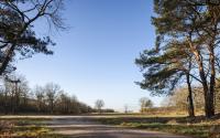 Beeld 10, klik om te vergroten