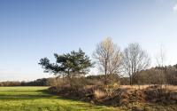 Beeld 18, klik om te vergroten