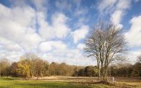 Beeld 3, klik om te vergroten