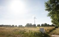 Beeld 3, klik om te vergroten