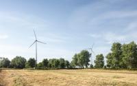 Beeld 14, klik om te vergroten