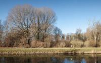 Beeld 4, klik om te vergroten