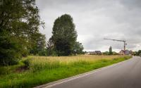 Beeld 4, klik om te vergroten