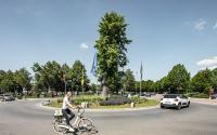 Beeld 24, klik om te vergroten