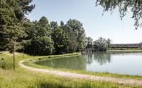 Beeld 11, klik om te vergroten