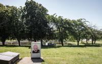 Beeld 22, klik om te vergroten
