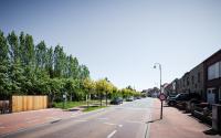 Beeld 3, klik om te vergroten