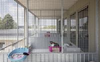Beeld 3, klik om te vergroten