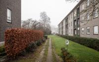 Beeld 3, klik om te vergroten