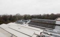 Beeld 36, klik om te vergroten