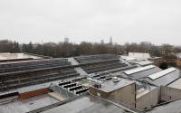 Beeld 38, klik om te vergroten