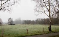 Beeld 6, klik om te vergroten