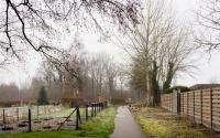 Beeld 11, klik om te vergroten