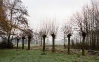 Beeld 13, klik om te vergroten