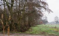 Beeld 14, klik om te vergroten